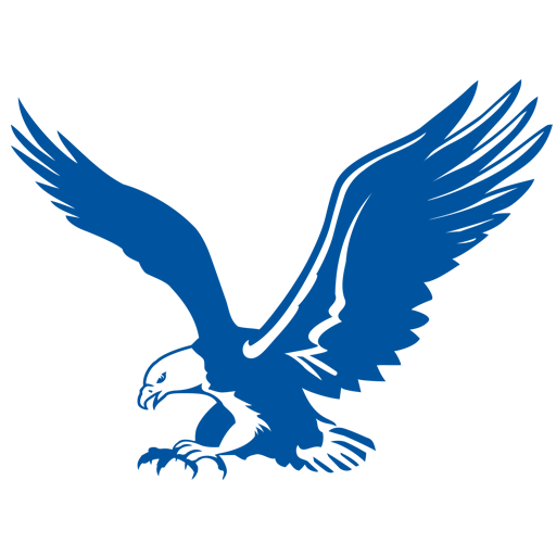 American Flyers Logo Blue